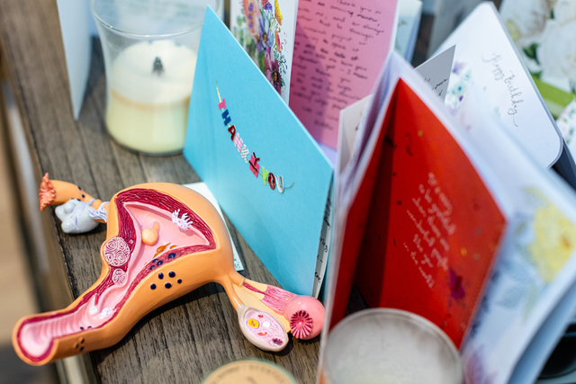 A detailed anatomical model of a uterus lies on a wooden surface beside several colorful greeting cards and two white candles.
